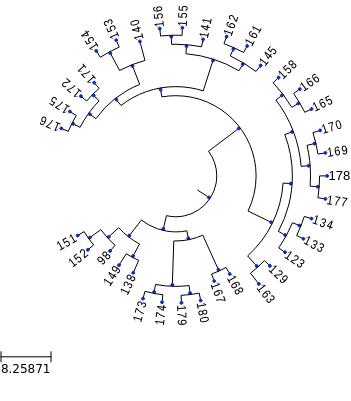 https://raw.githubusercontent.com/Ad115/Cell-System/master/assets/ancestry_no_death.png