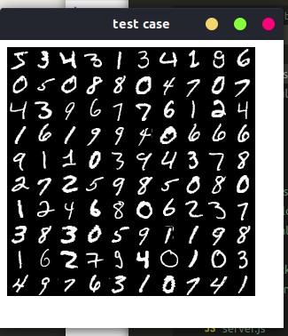 100 Images of Digits