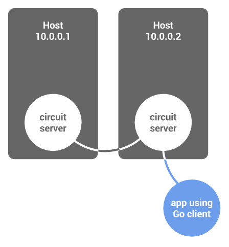 Circuit client connected to a server